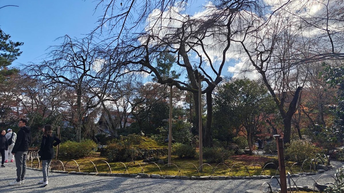 People walking in a serene garden with bare trees and blue sky