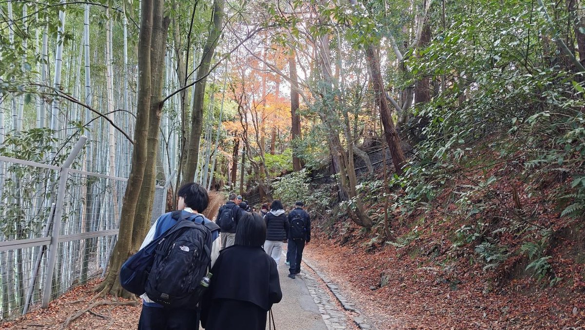 People walking through scenic bamboo forest
