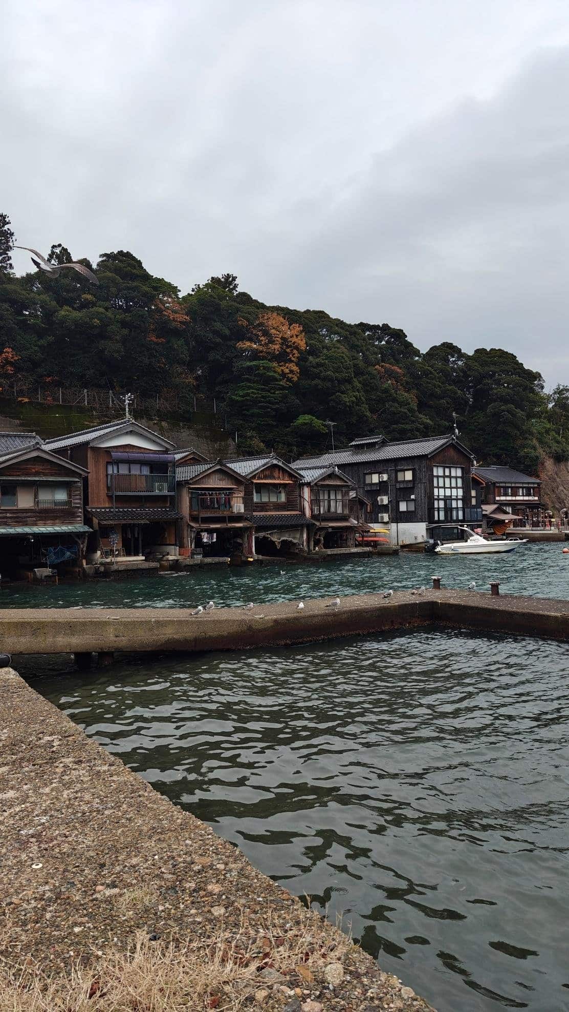 Quaint waterfront houses against leafy hillside