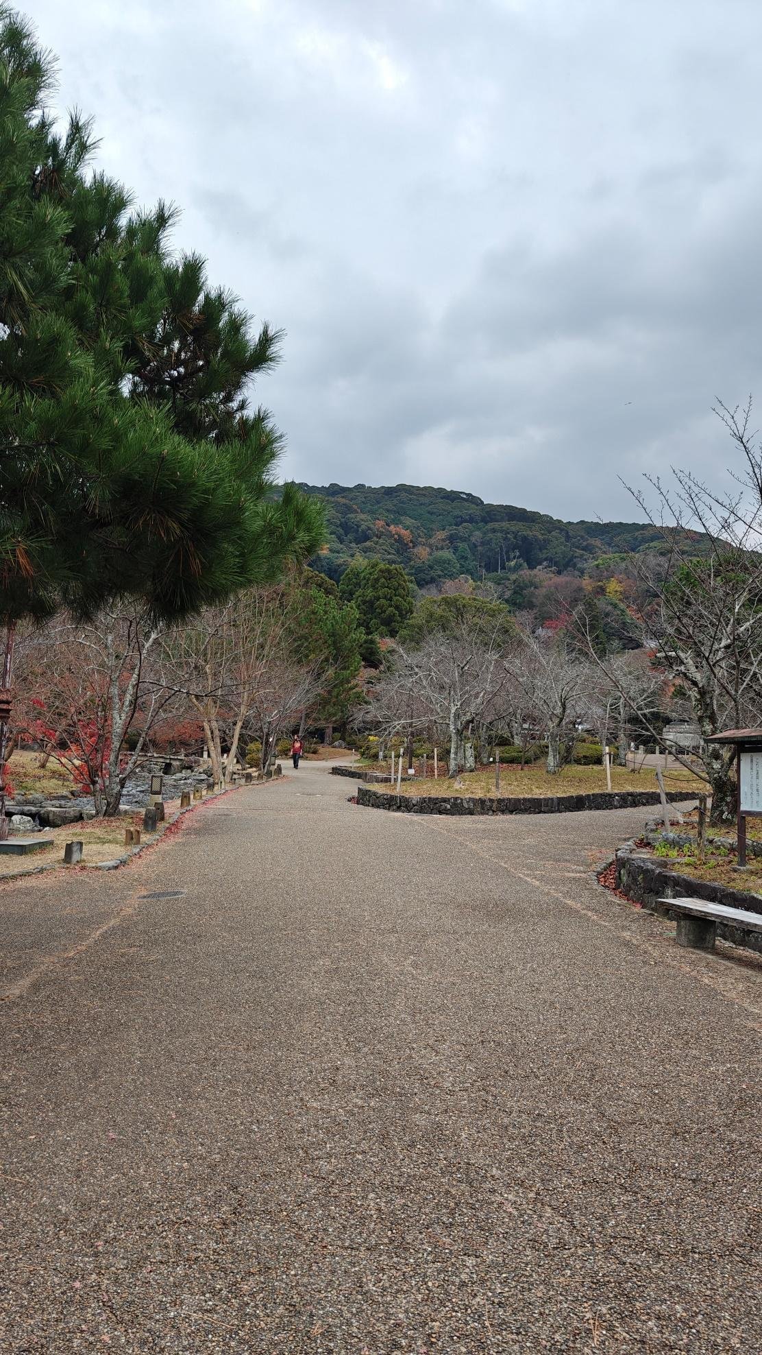 Quiet park path with trees and cloudy sky
