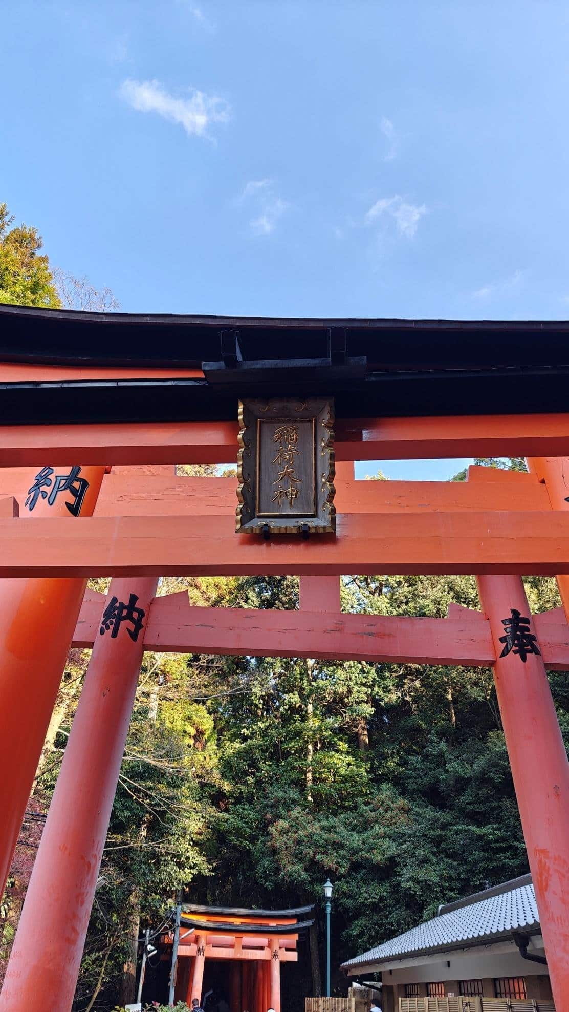 Red torii gate under blue sky with trees