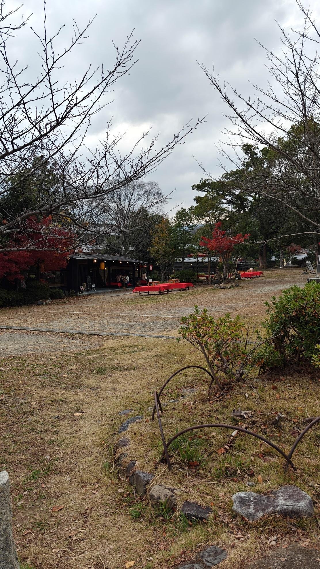 Rustic park with benches and autumn trees under cloudy sky