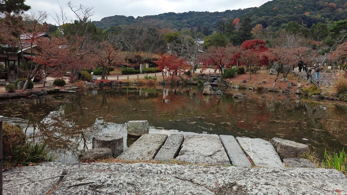Scenic Japanese garden in autumn with a tranquil pond