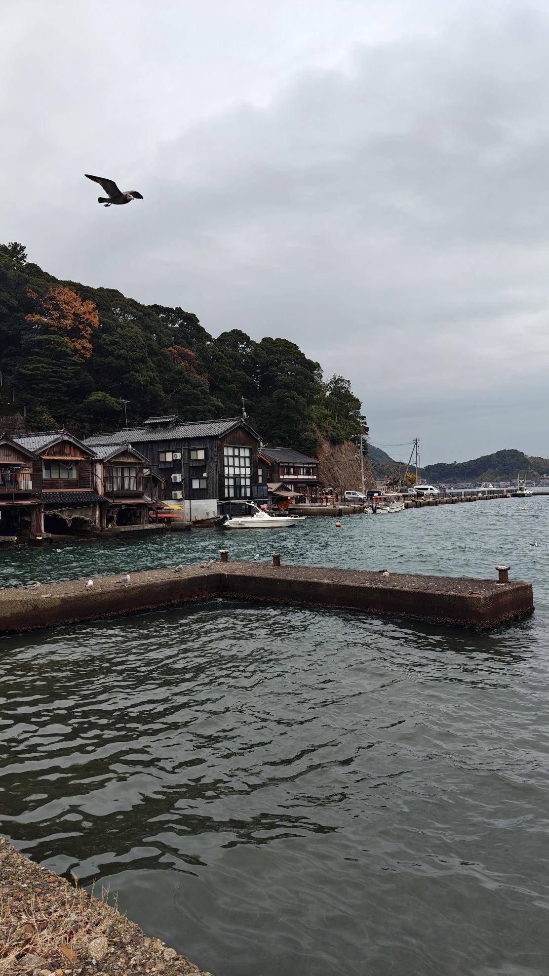Seaside village with dock and flying seagull under cloudy sky