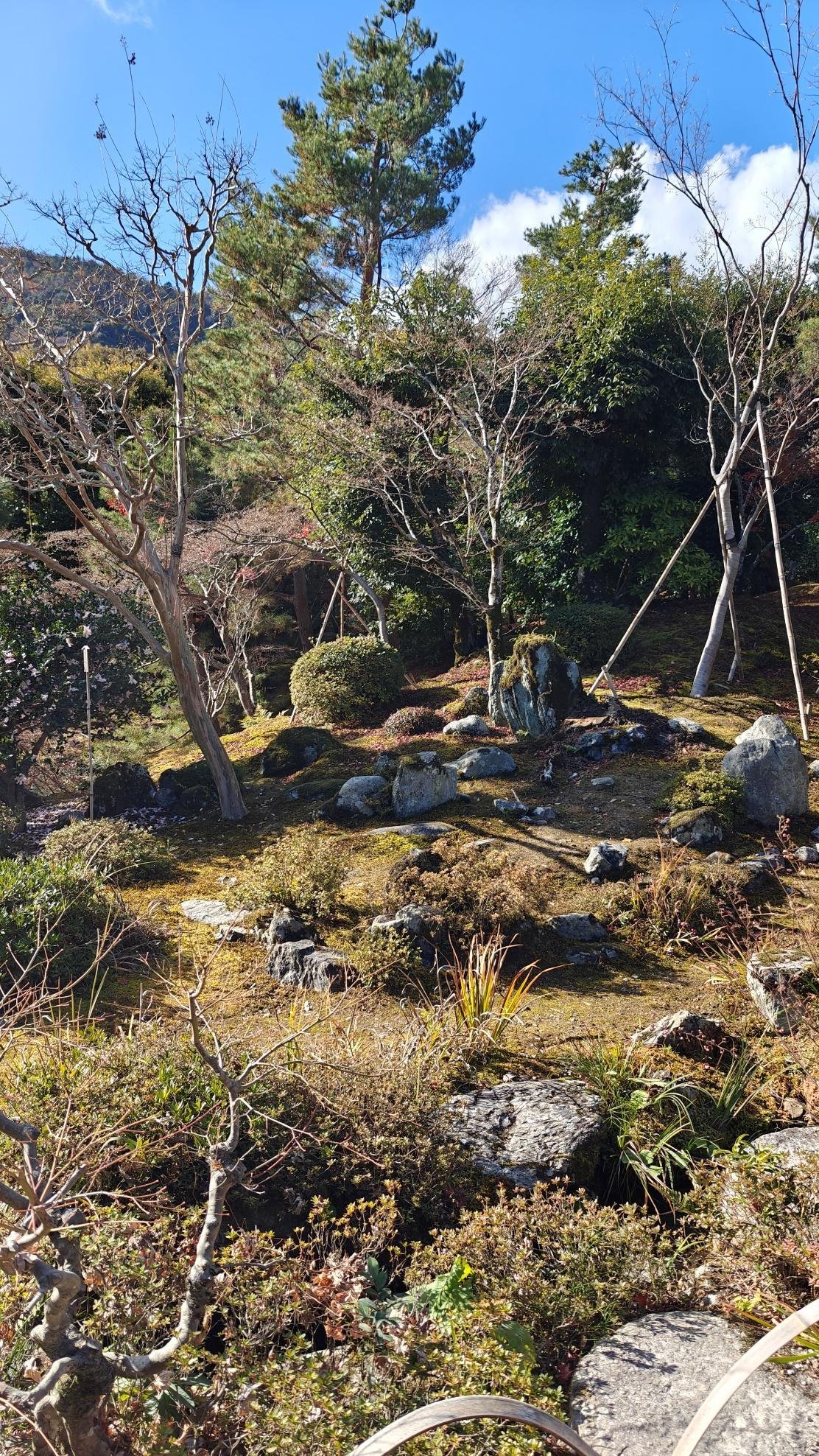 Serene garden with trees, rocks, and blue sky