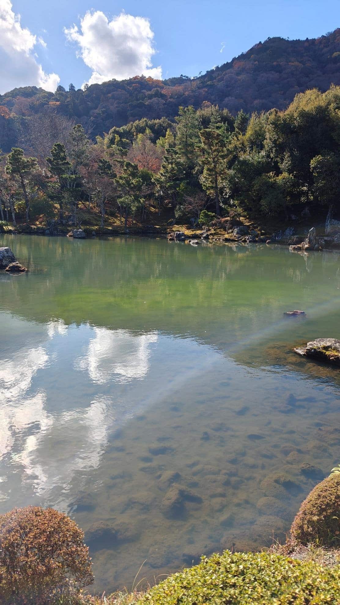 Serene lake with lush trees and distant hills under blue sky