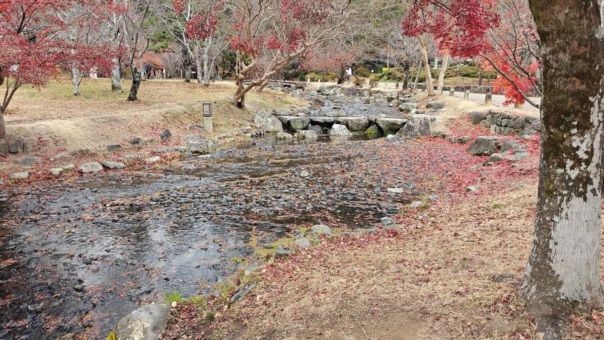 Serene stream with autumn foliage and stone bridge