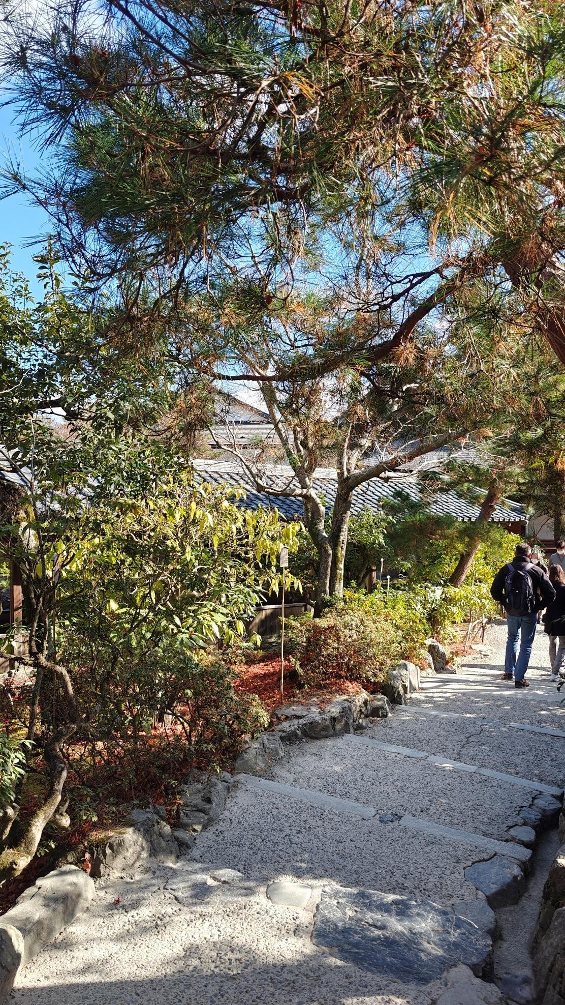 Shaded path through a garden with trees and people walking