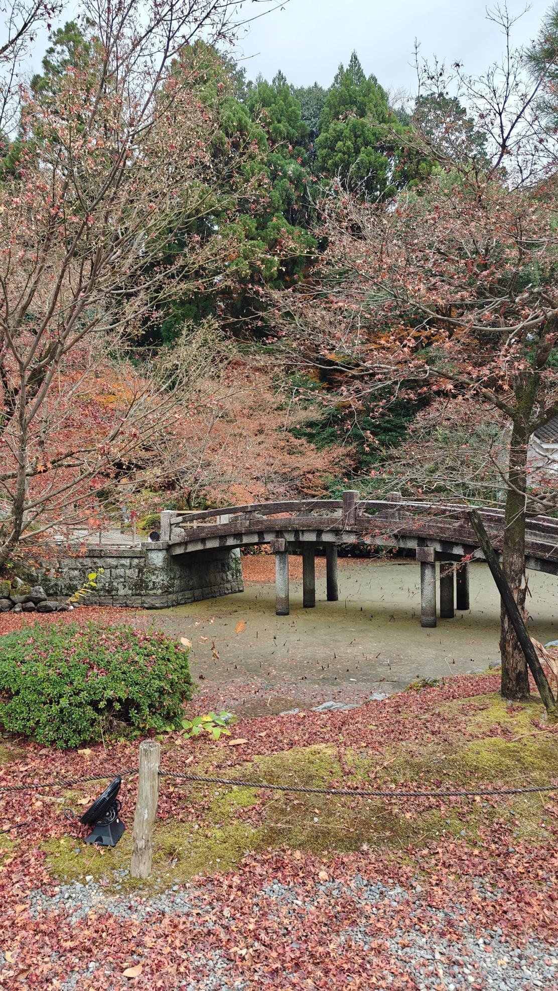 Stone bridge over pond in a park with autumn foliage