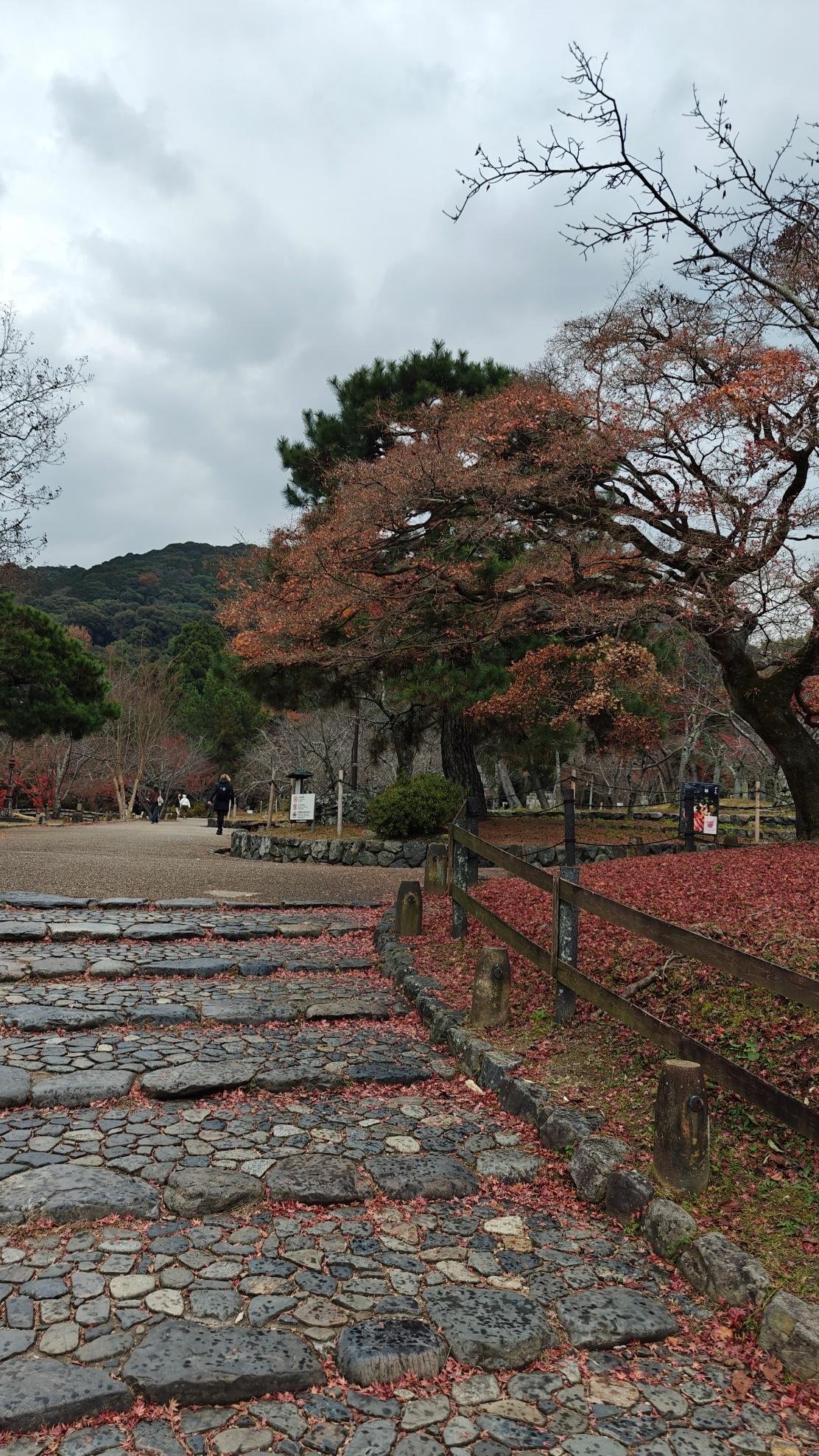 Stone path lined with autumn trees and fallen leaves