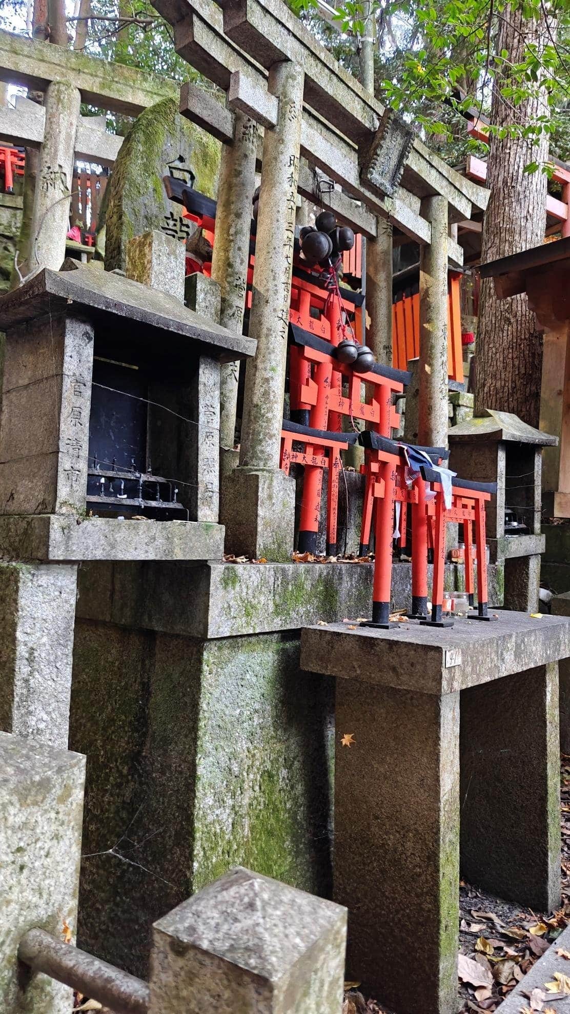 Stone shrine with red torii gates and moss-covered pillars