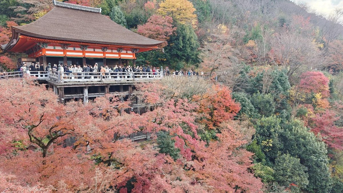 Temple surrounded by vibrant autumn foliage