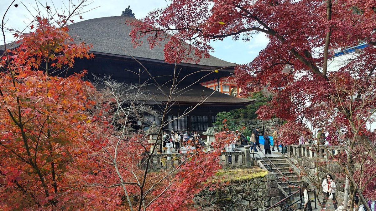 Temple with red autumn leaves and visitors on walkway