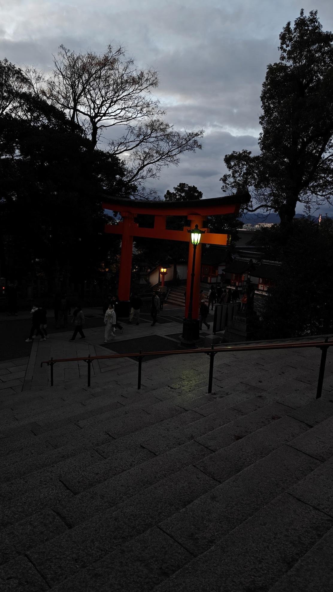 Torii gate at dusk surrounded by trees and steps