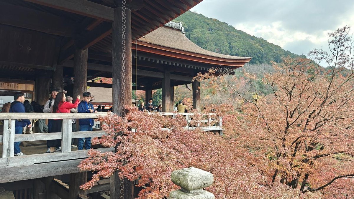 Tourists on wooden balcony with scenic autumn trees