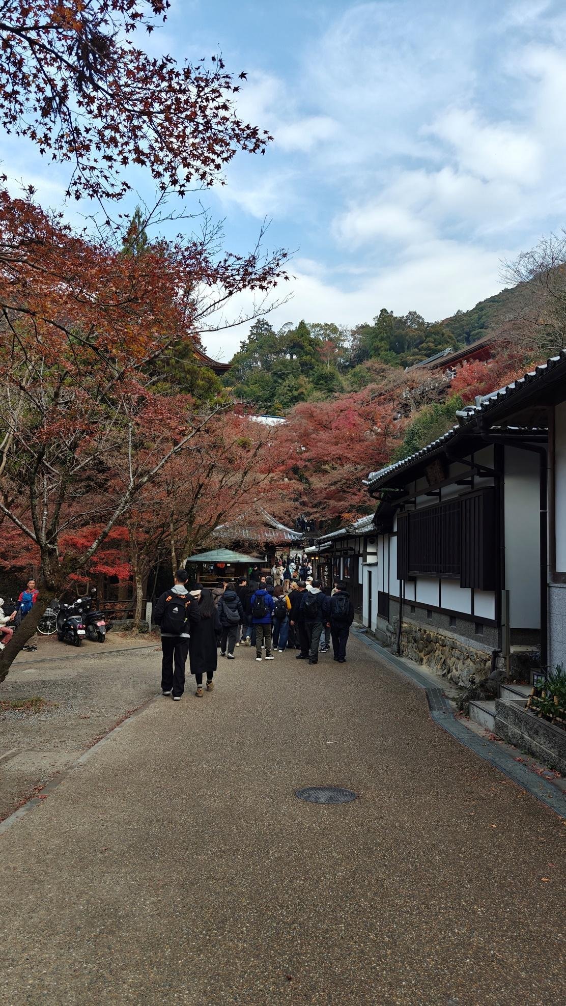 Tourists walk under autumn trees on a paved path