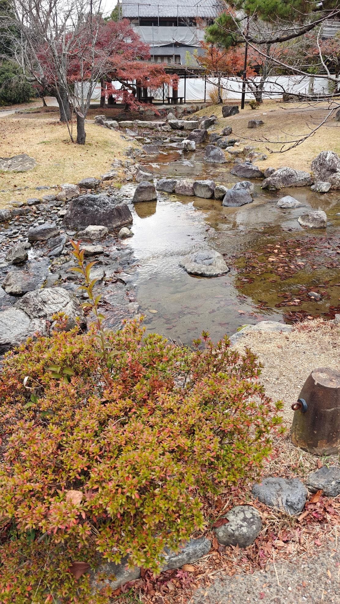 Tranquil garden with stream, rocks, and autumn trees