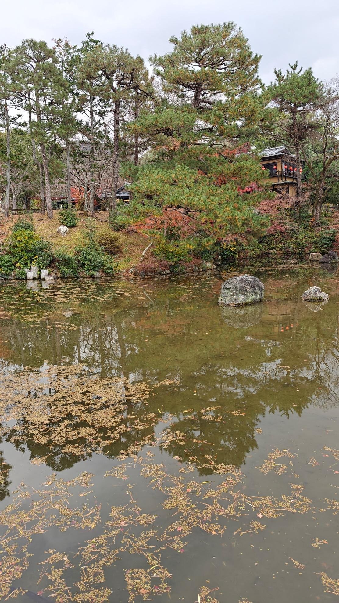 Tranquil pond reflecting trees with autumn colors
