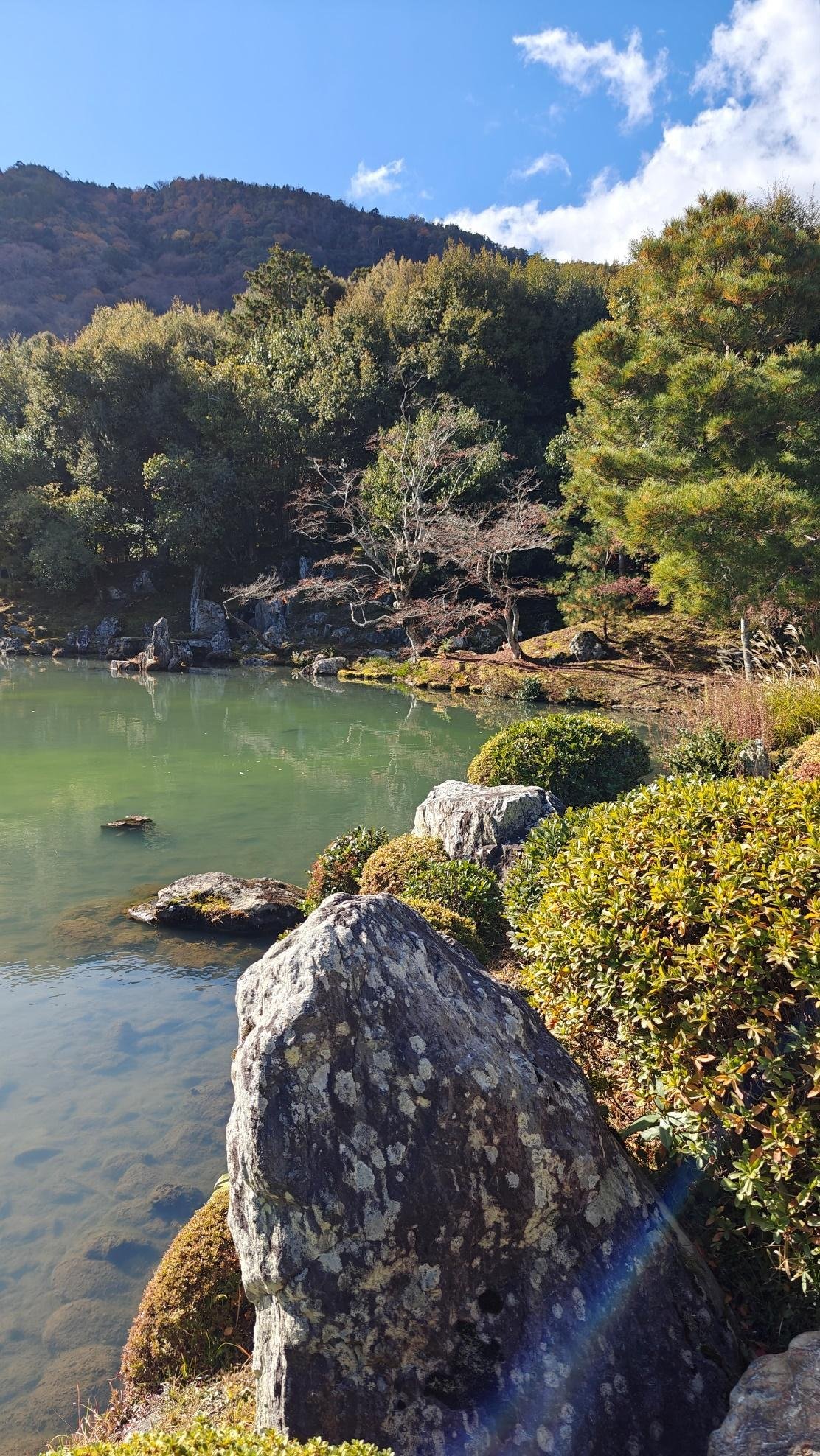 Tranquil pond with rocks, trees, and mountain backdrop