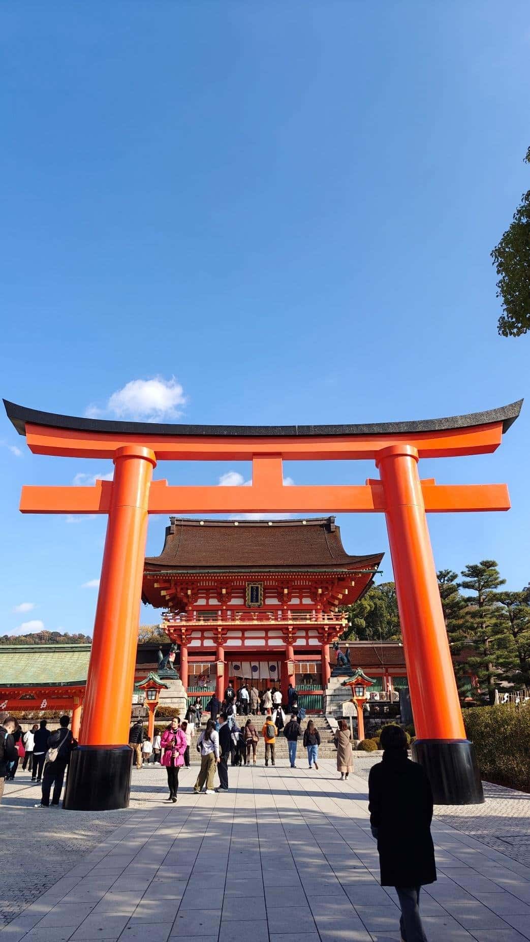 Vibrant red torii gate at shrine with people under blue sky