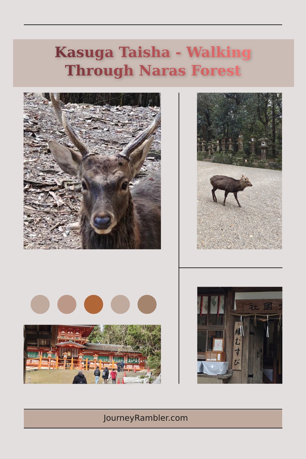 A Walk to Kasuga Taisha - Deep in the Forest of Nara