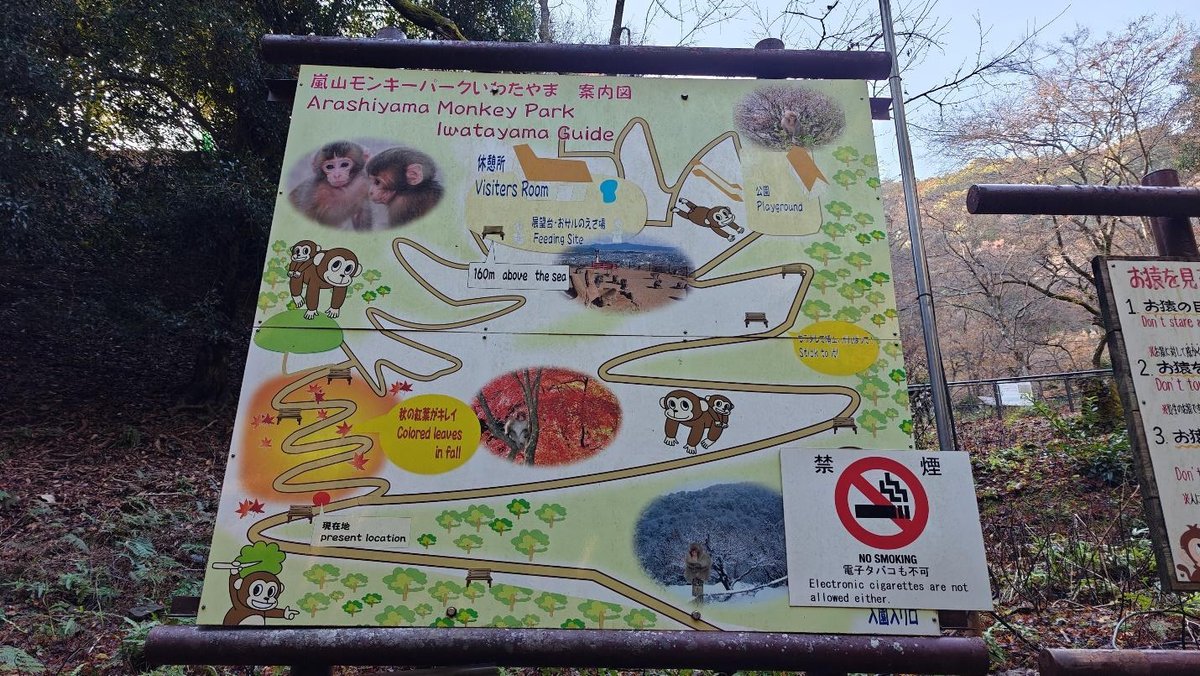 Arashiyama Monkey Park guide map