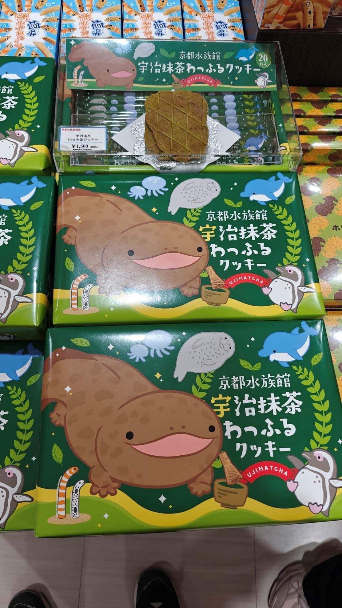 Assorted matcha cookie boxes with cute animal illustrations