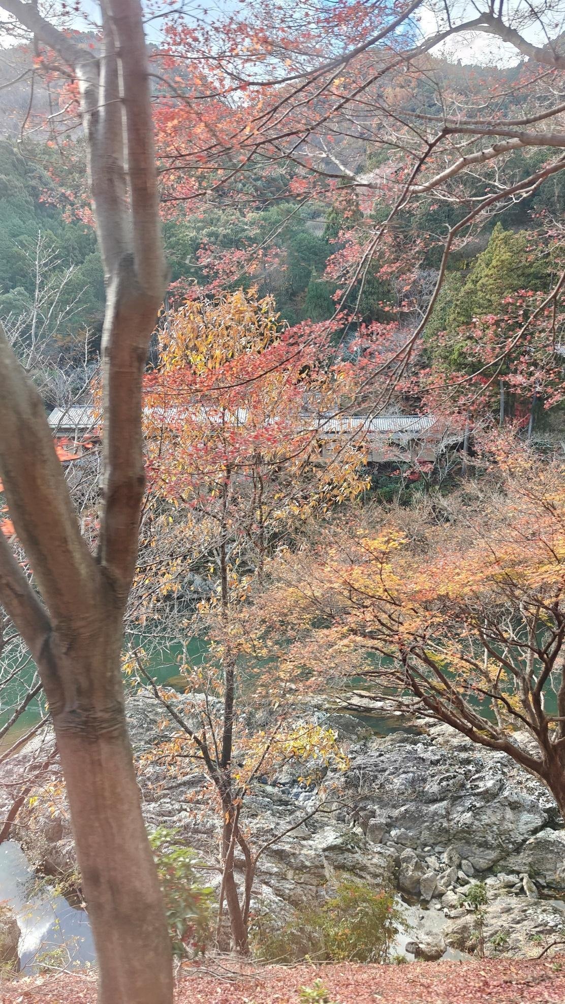 Autumn foliage and rocky landscape with distant bridge