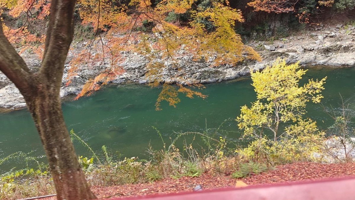 Autumn foliage by a calm river with vibrant colors