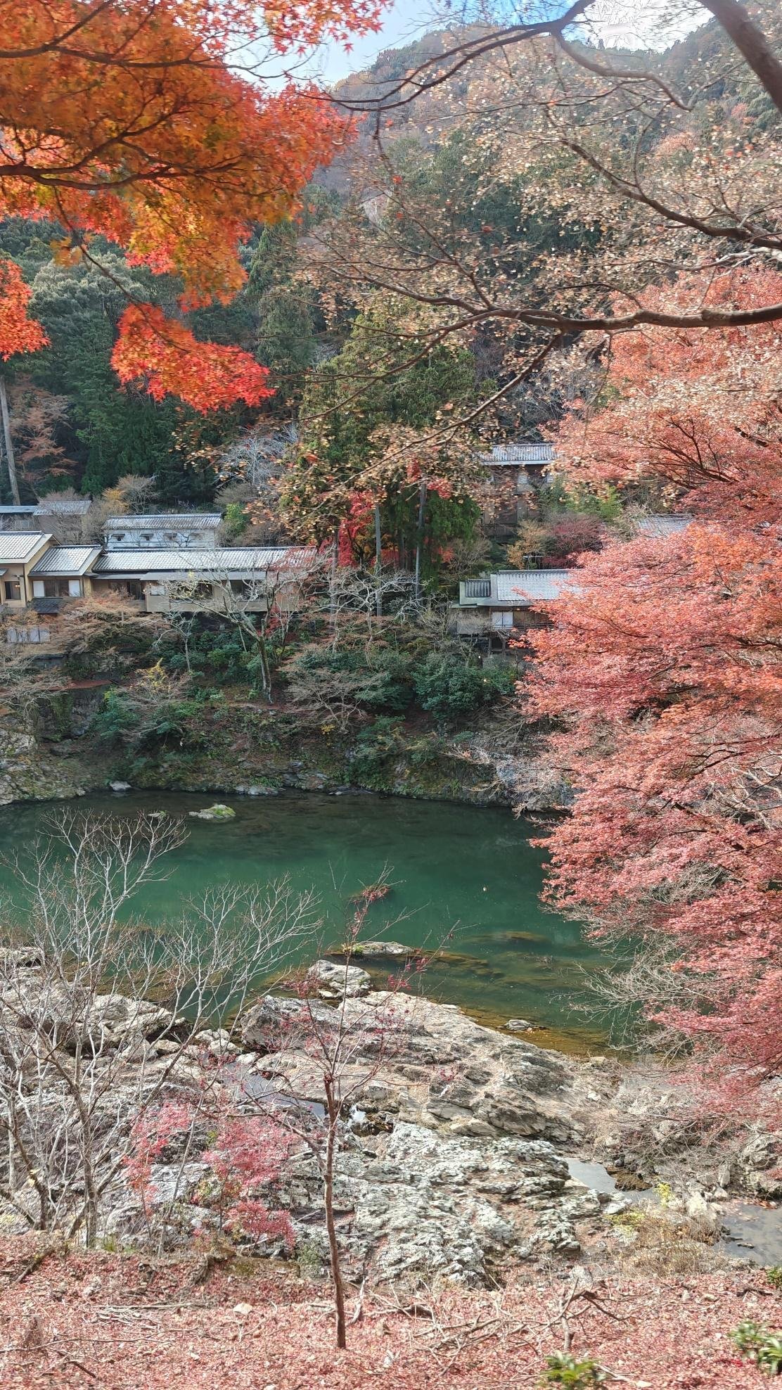 Autumn foliage by a serene river with houses and trees.