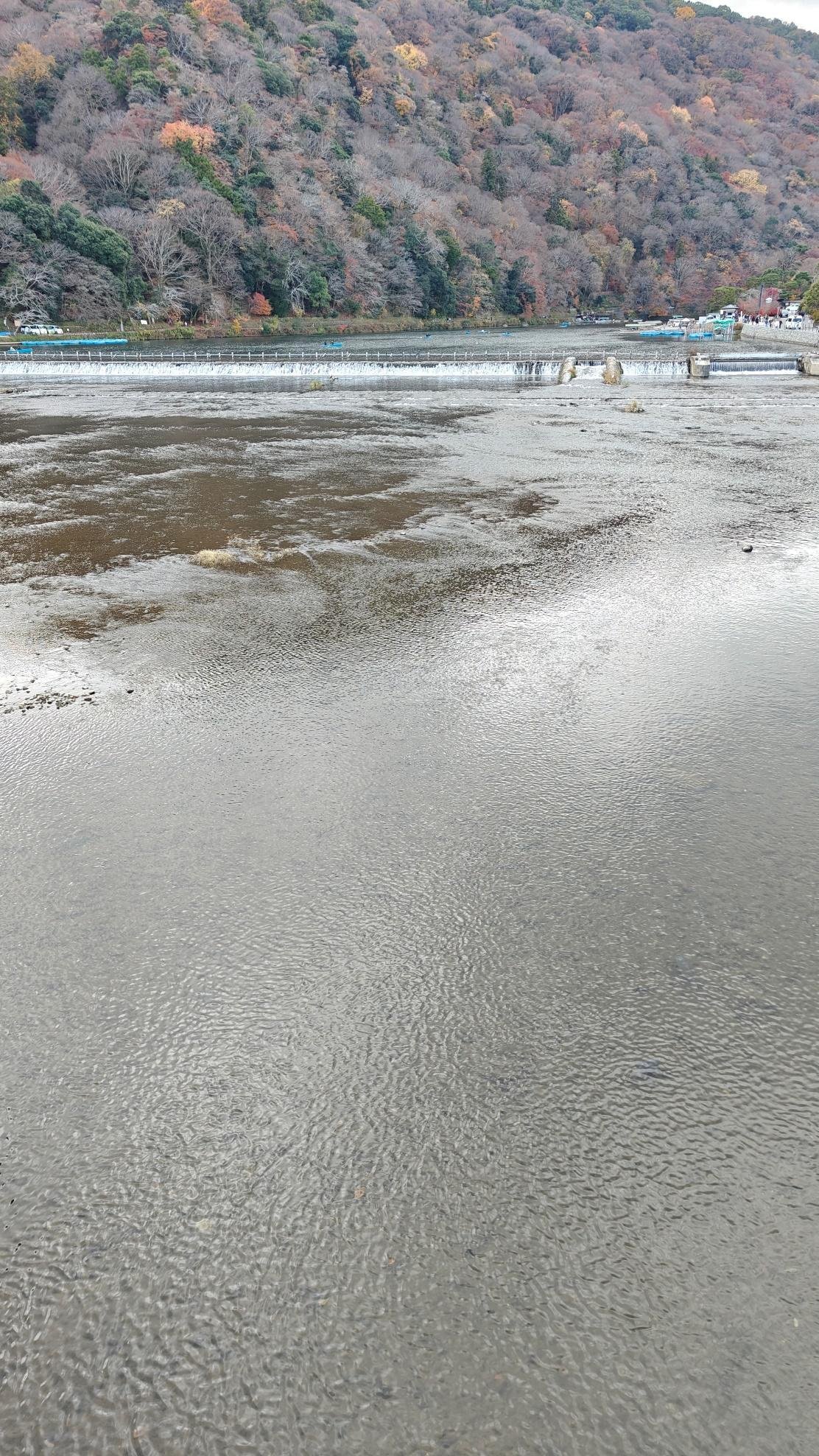 Autumn forest by calm river with distant hills