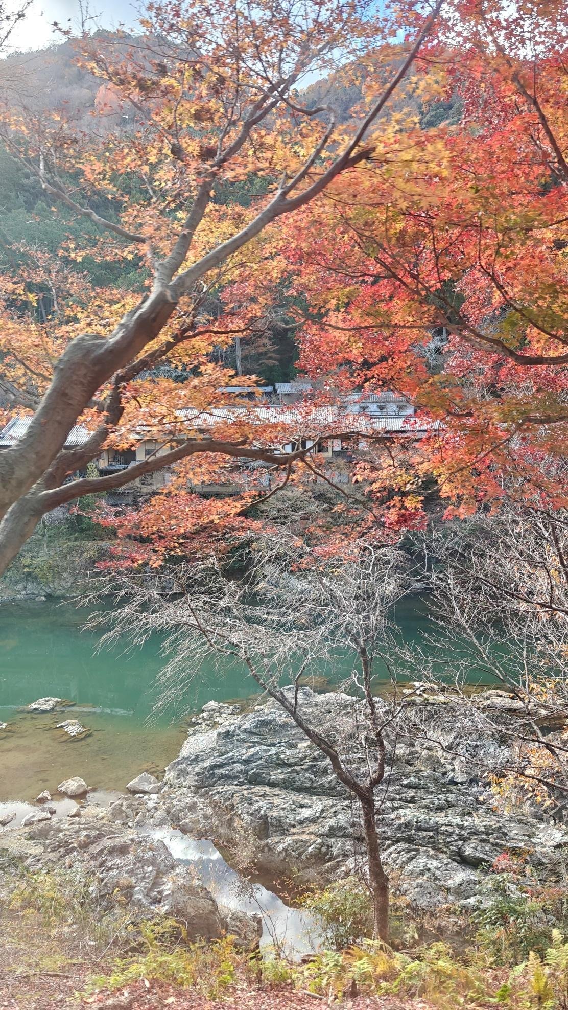 Autumn leaves over serene river and rocky landscape