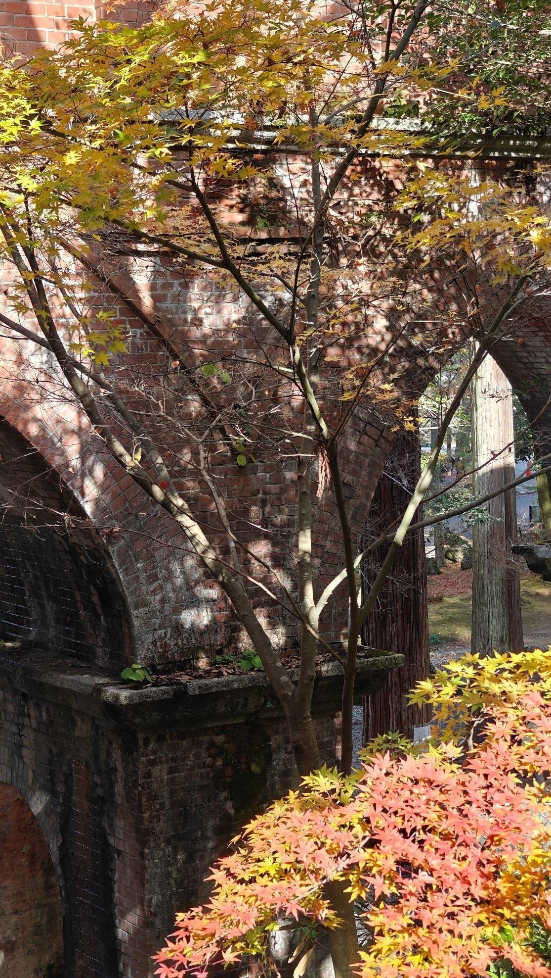Autumn maple leaves by vintage brick archway