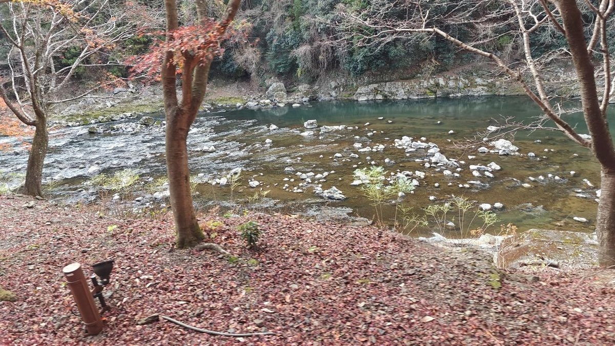 Autumn riverbank with fallen leaves and bare trees
