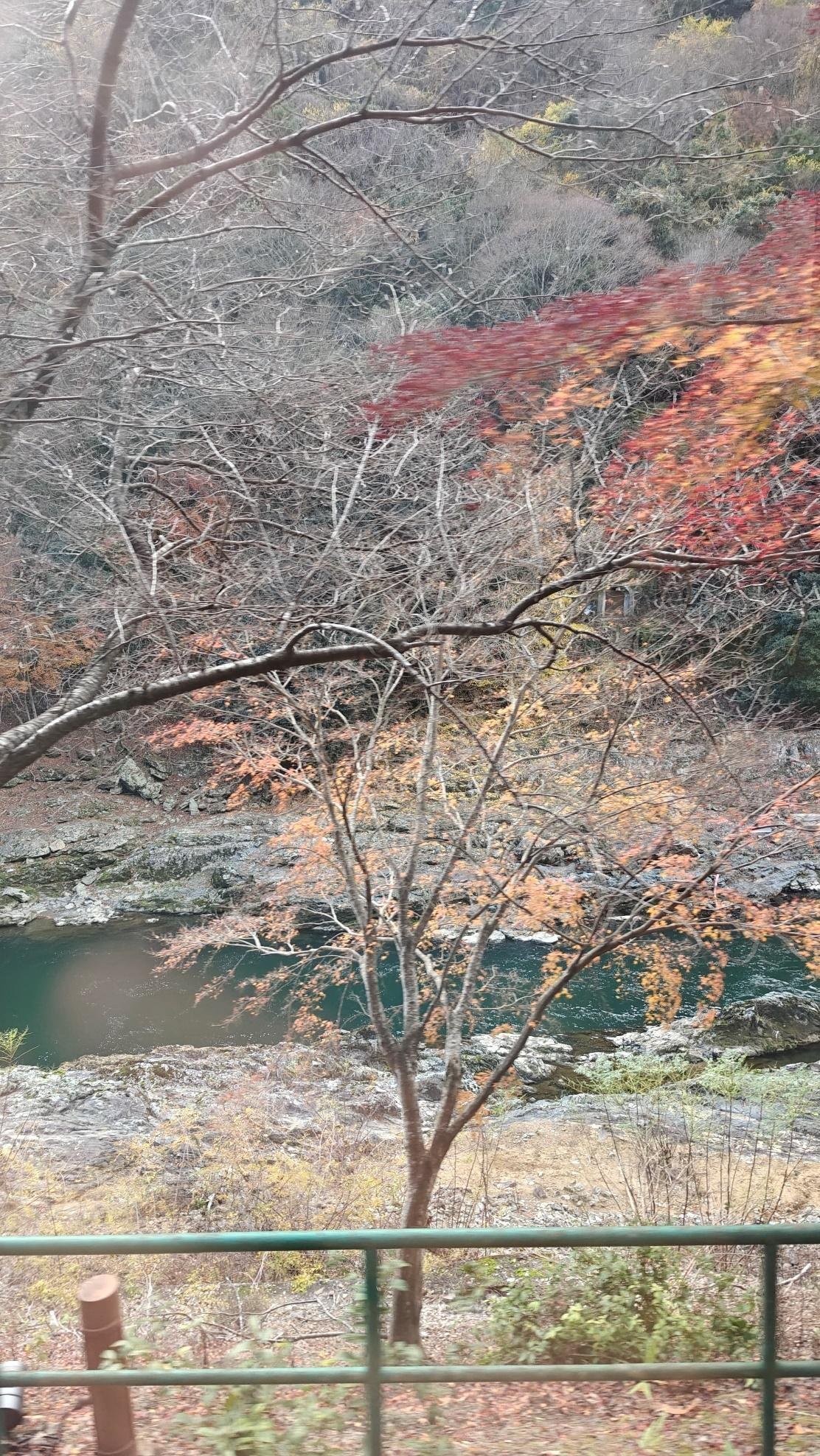 Autumn trees by a calm river in a rocky landscape