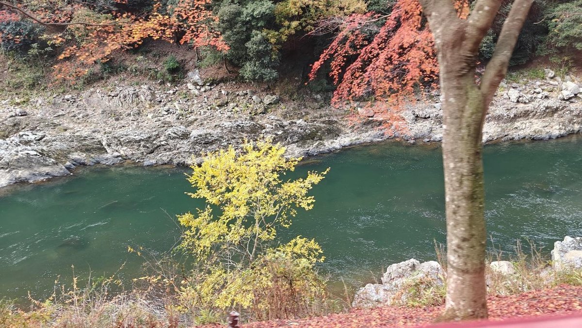 Autumn trees by a clear green river with rocky banks