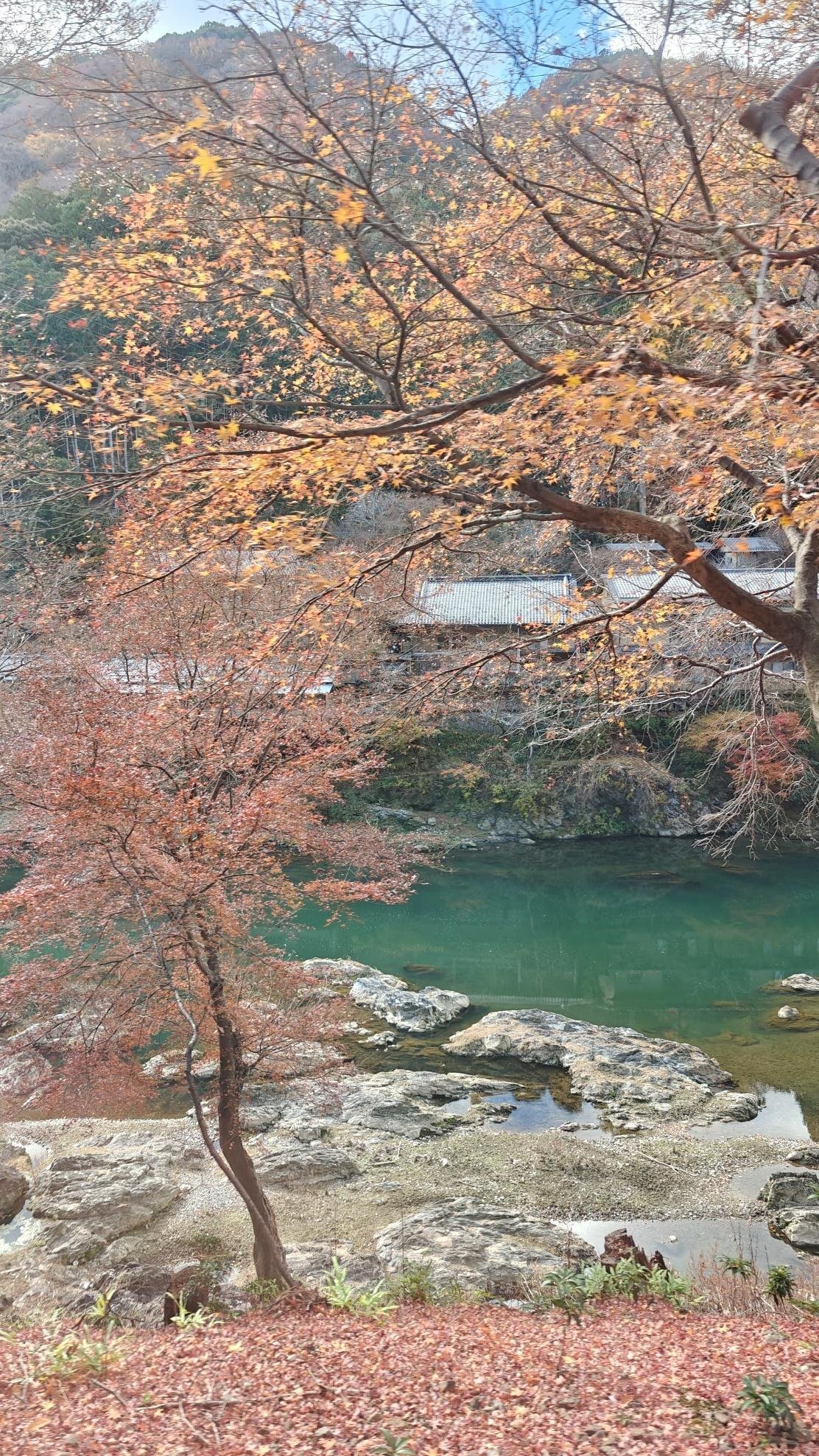 Autumn trees by a river with rocky banks and a house in the background
