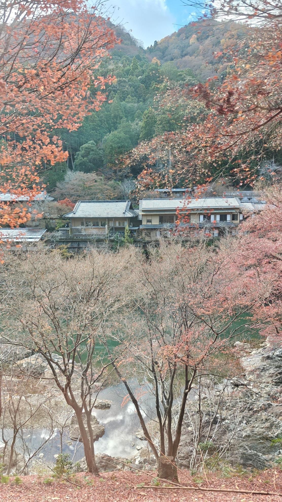 Autumn trees framing traditional houses by a river