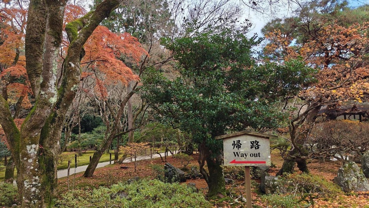 Autumn trees with a wooden way out sign in a park