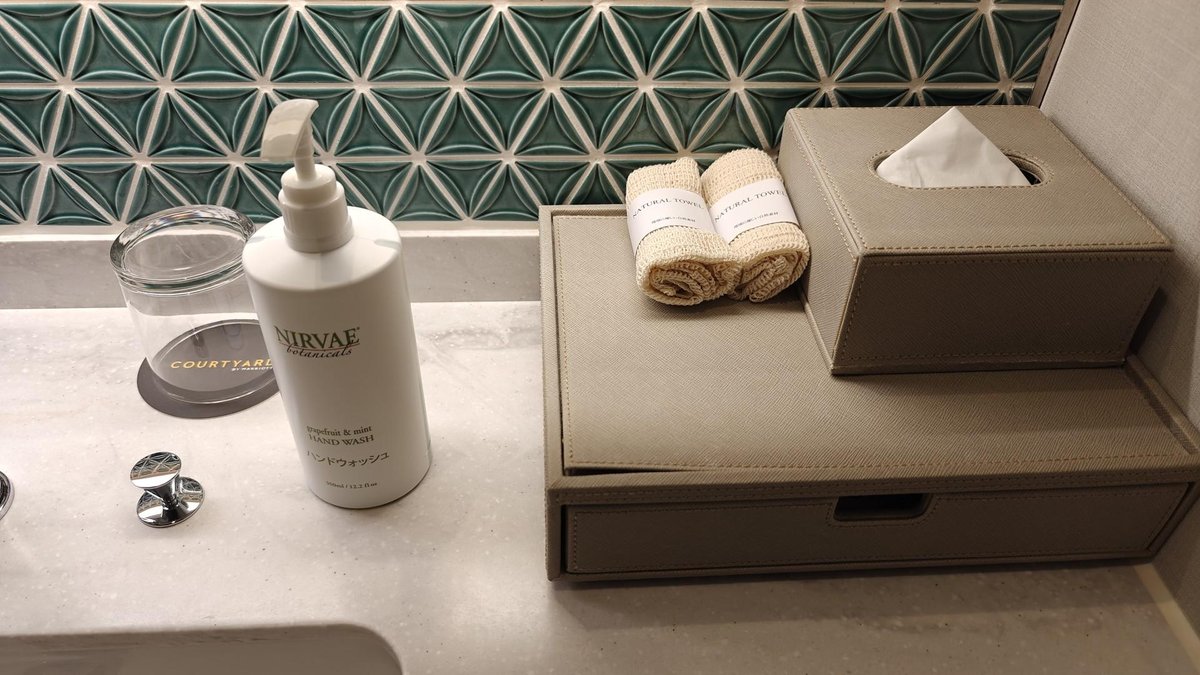 Bathroom essentials on elegant counter