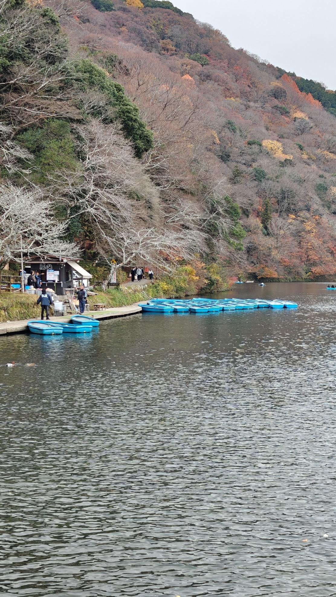 Blue boats docked near autumn forested hillside