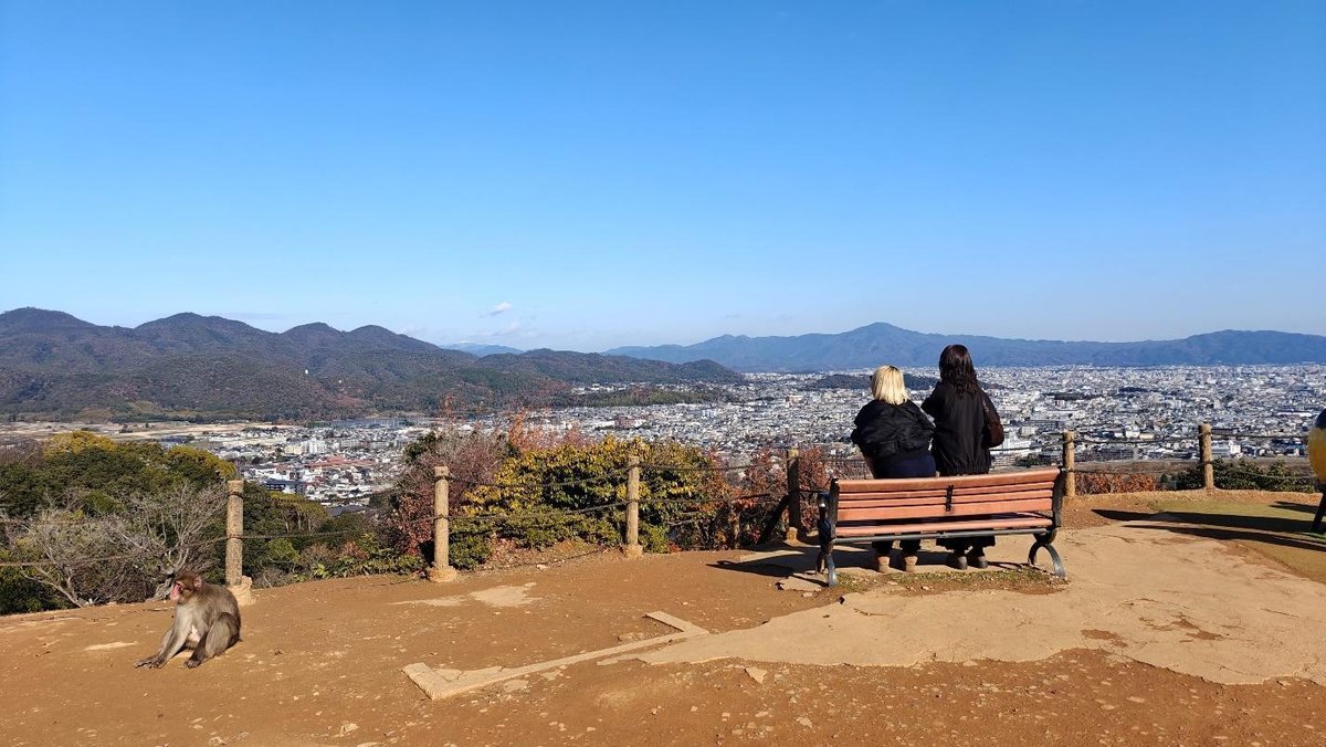 City view from hill with people and monkey