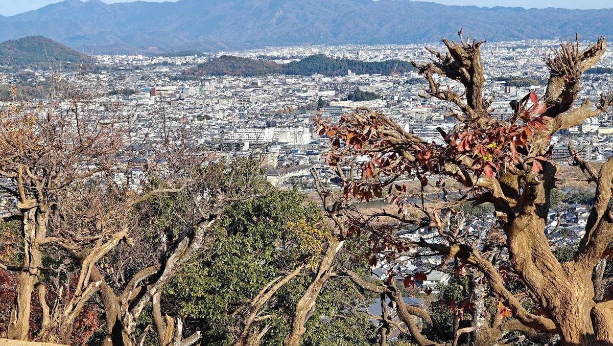 Cityscape viewed through bare trees