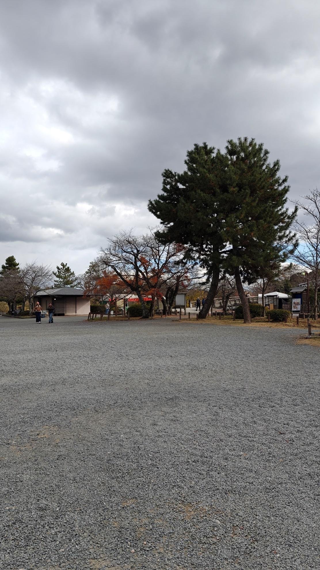 Cloudy park scene with scattered trees and people walking