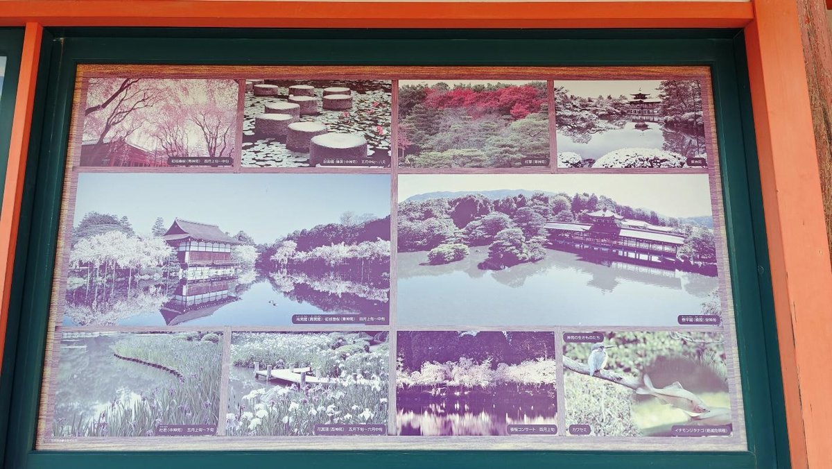 Collage of scenic landscape and garden photos