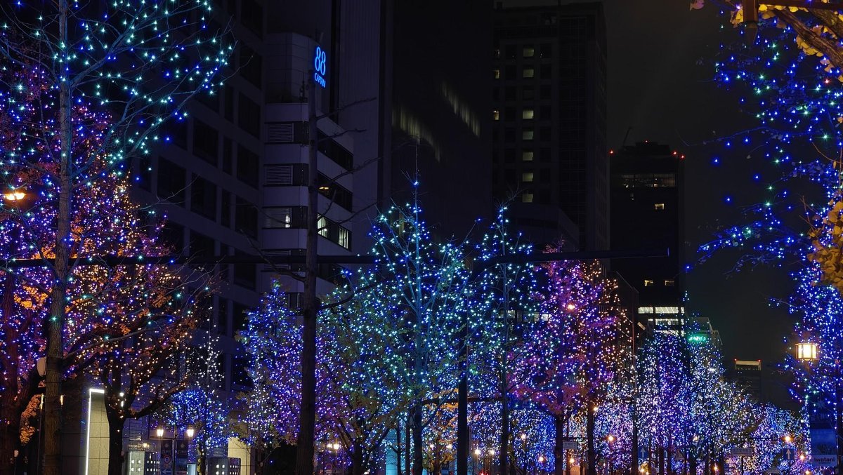 Colorful city street with lit trees