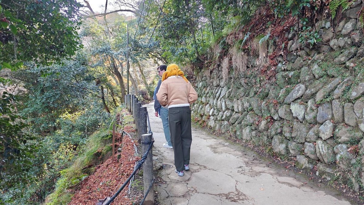 Couple walking on a forest path