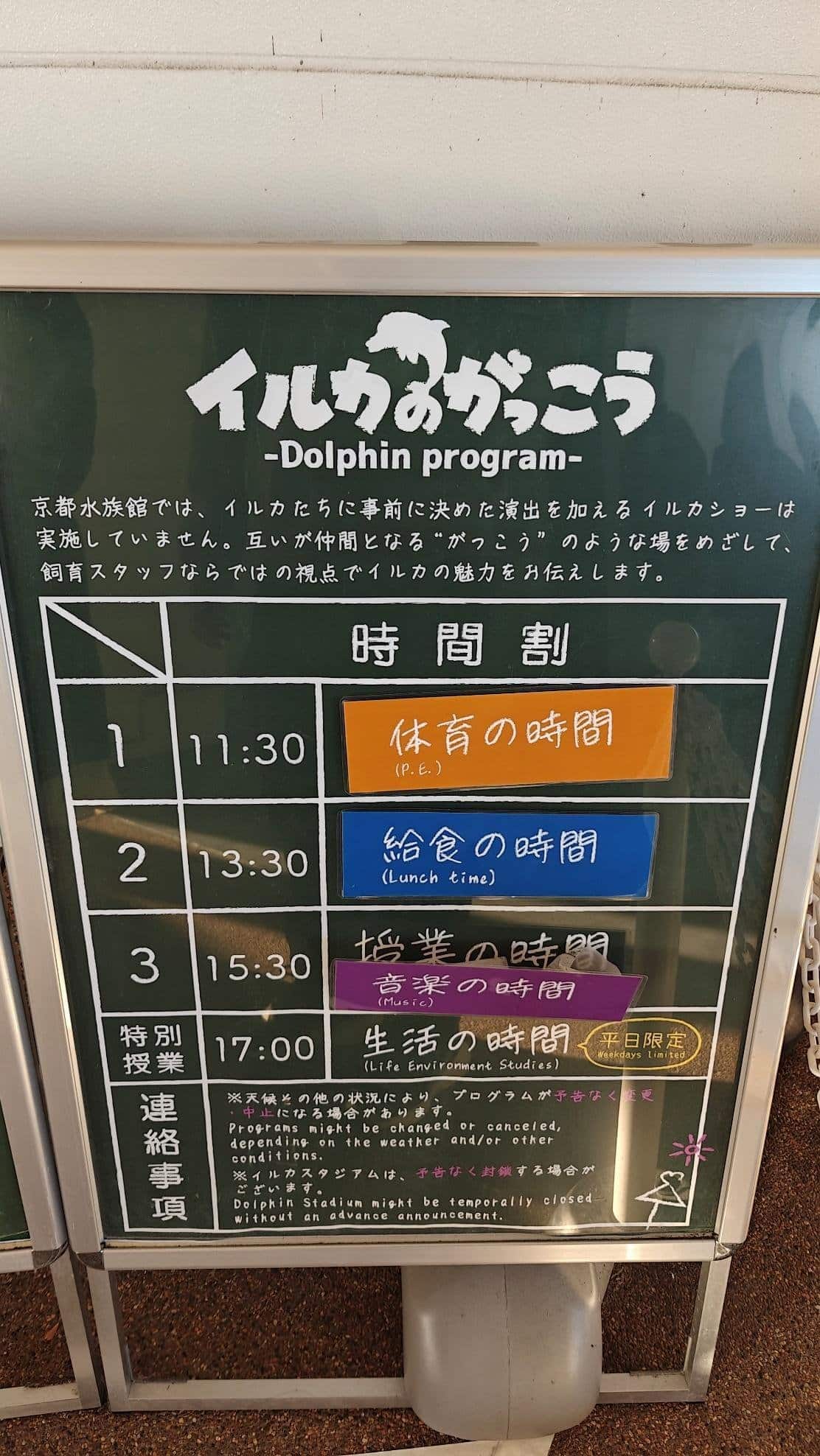 Dolphin program schedule with colorful time slots