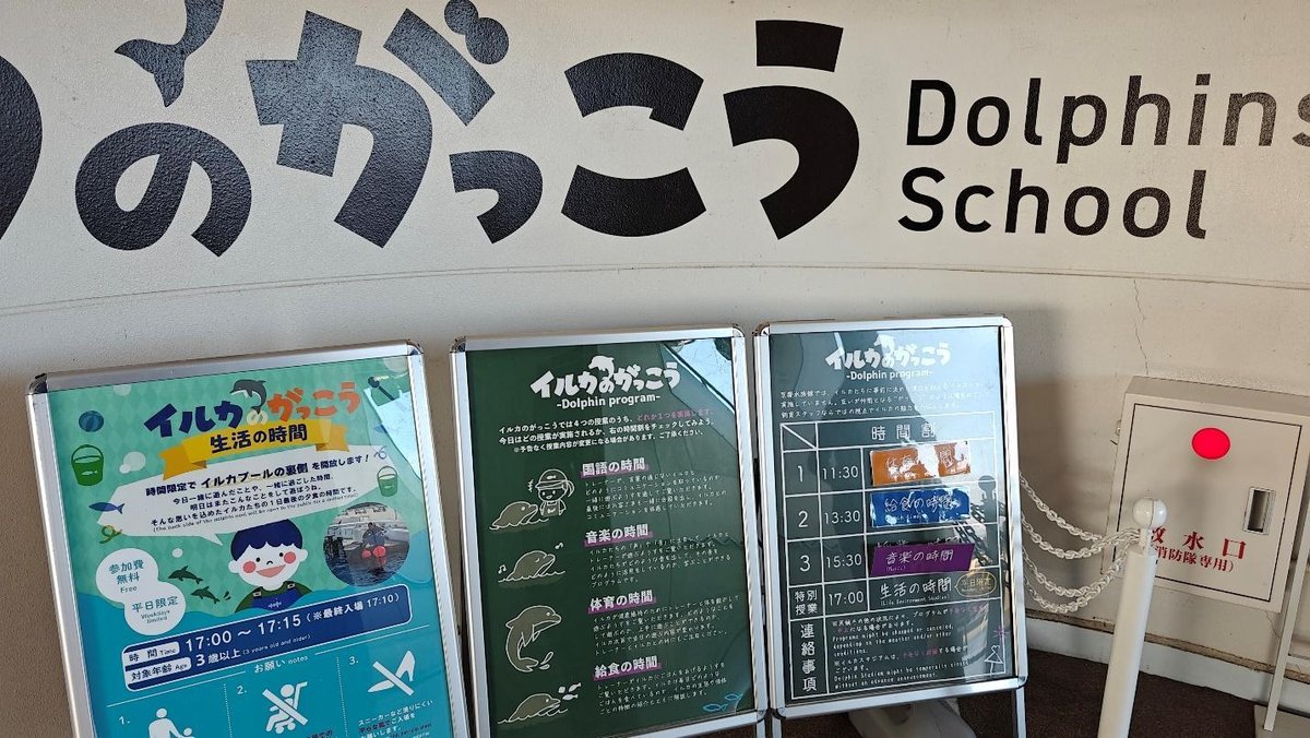 Dolphins School signage with program boards and colorful posters