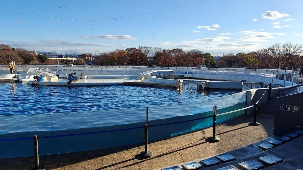 Empty dolphin pool with clear blue water and autumn trees